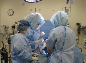 Surgical Services