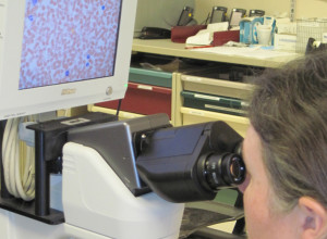 Laboratory